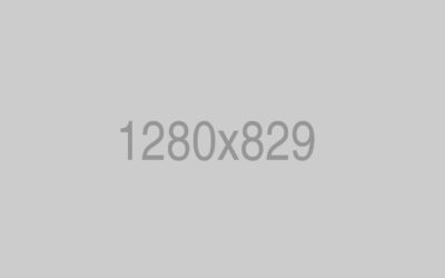 We Execute Our Ideas